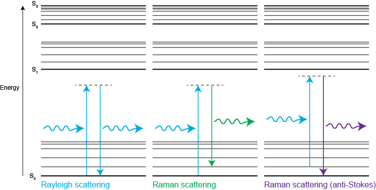 レイリー散乱とラマン散乱のエネルギー模式図