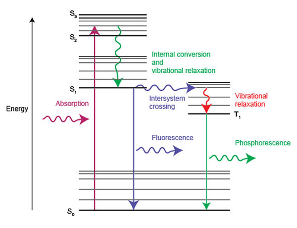 光の吸収と蛍光とリン光に付随するプロセスを示すエネルギー図