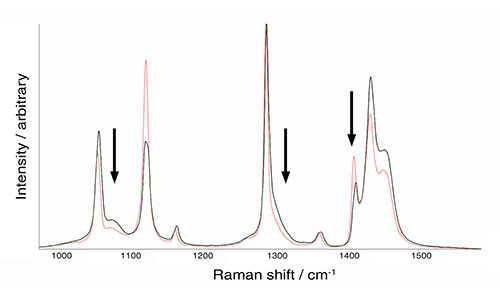 結晶化度の違いを示す 2 個のポリエチレンサンプルのラマンスペクトル