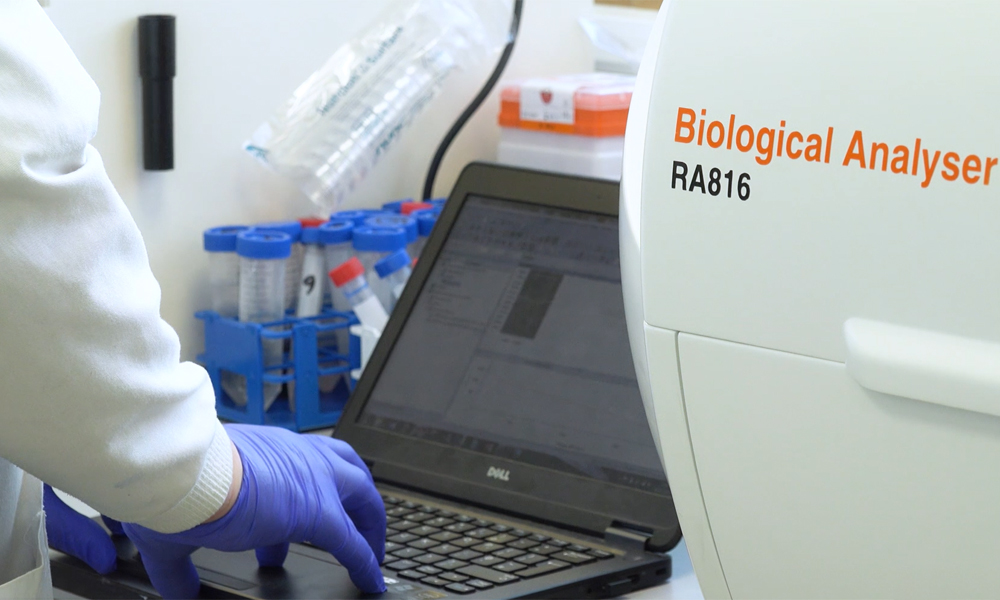 RA816 生物学用分析装置