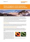 Application note:  Raman imaging to reveal components and metabolites in wood cells and tissue